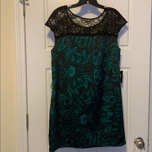 Express green/black dress with lace collar